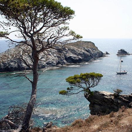 T2 Vue Mer 50M De La Plage A Giens Hyères Kültér fotó