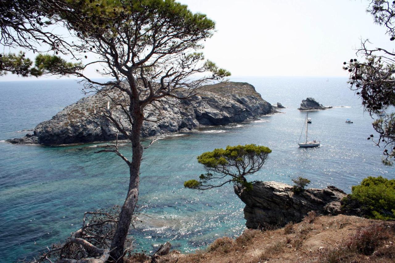 T2 Vue Mer 50M De La Plage A Giens Hyères Kültér fotó